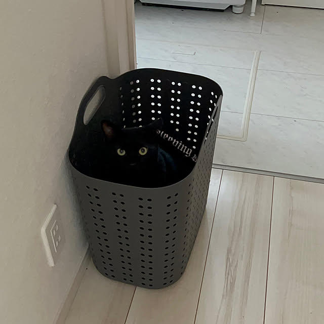 nyaakoさんの部屋