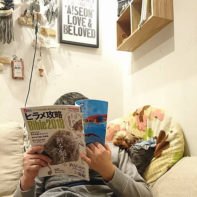 akiさんの実例写真