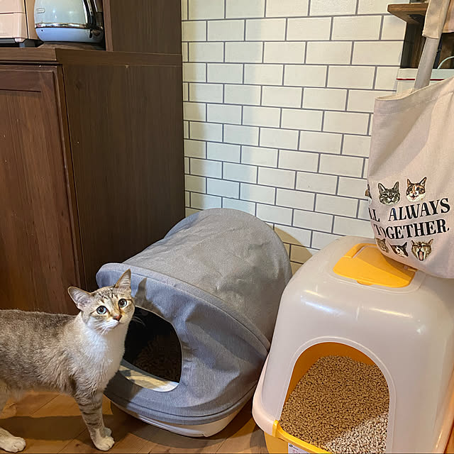 poniさんの実例写真