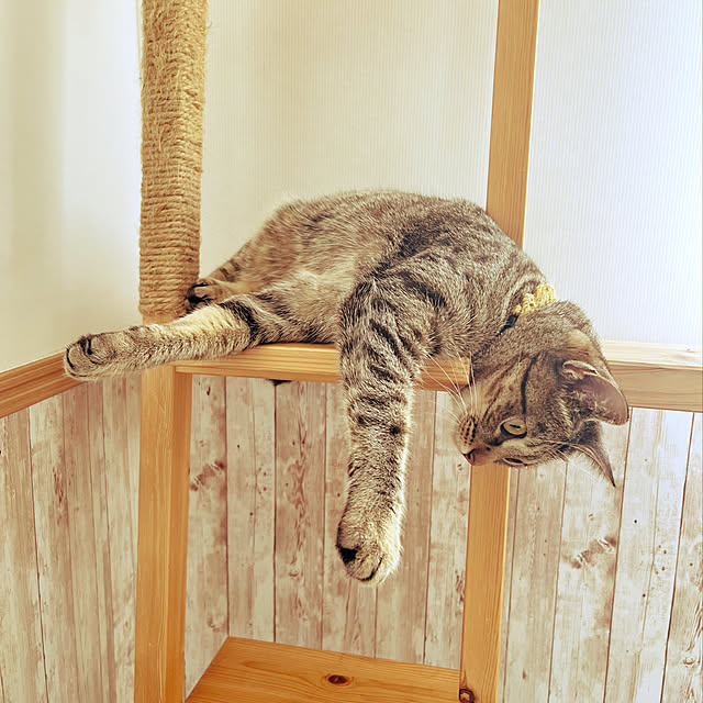 Mさんの実例写真