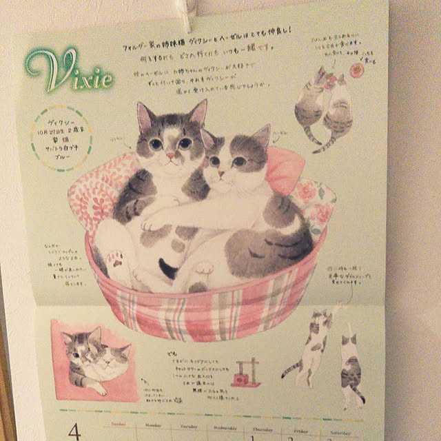 futukoさんの実例写真