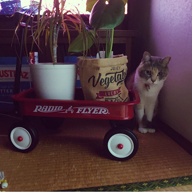 fukuさんの実例写真