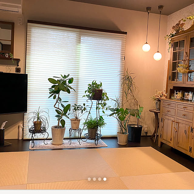 yumirilさんの部屋