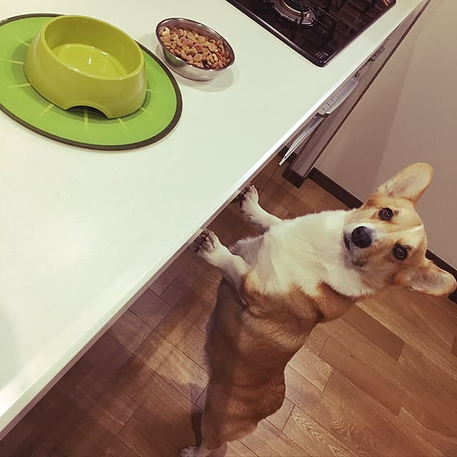 Madokaさんの実例写真