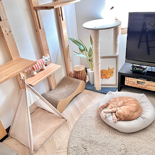 kiyomiさんの部屋