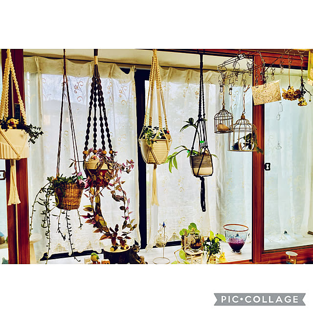 CoCo0617さんの実例写真