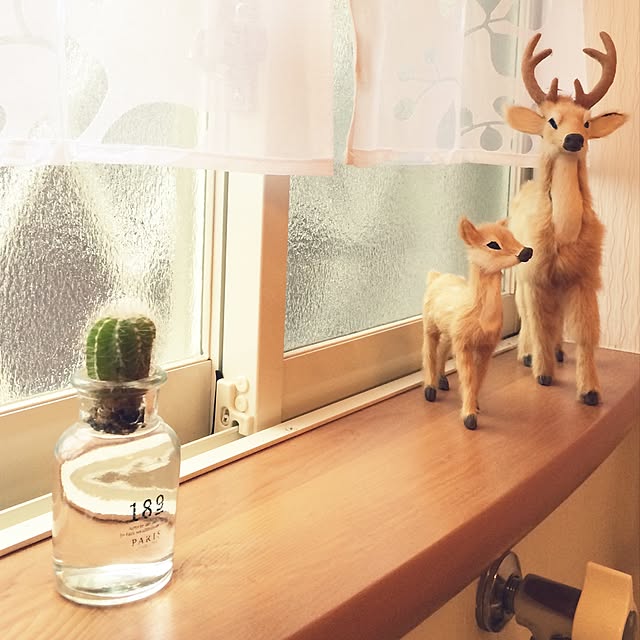 kazuさんの実例写真