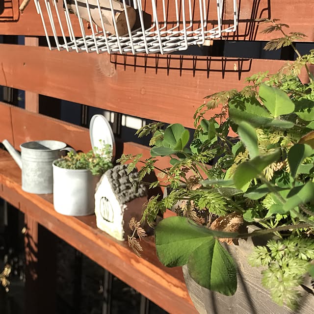 kokko3さんの実例写真