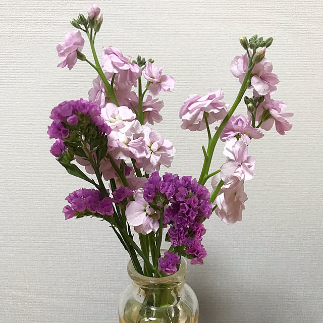plumさんの実例写真
