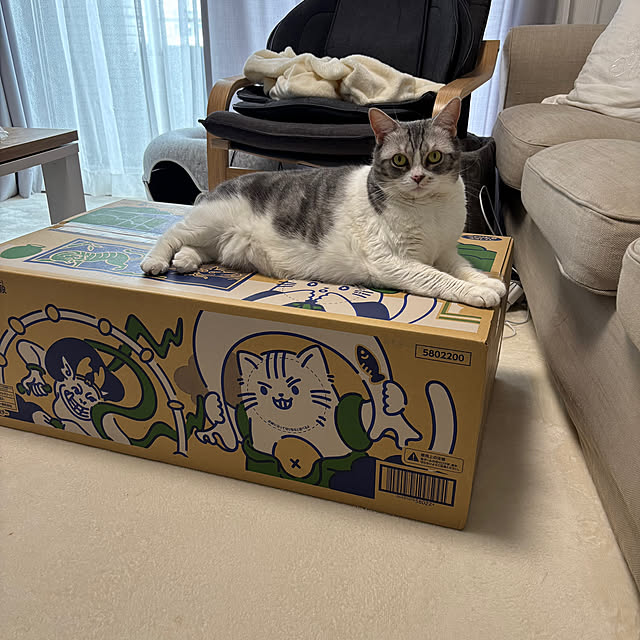 Atelier.mさんの実例写真