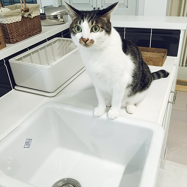 yuchiさんの実例写真