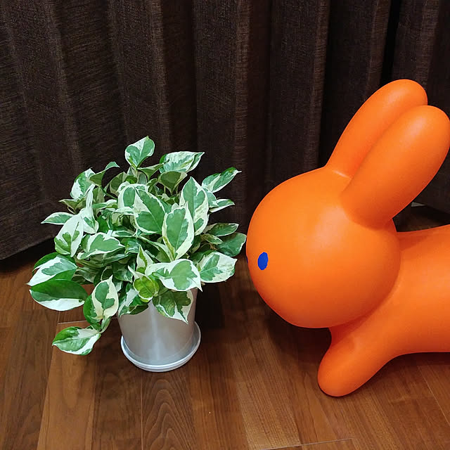 kappaさんの実例写真