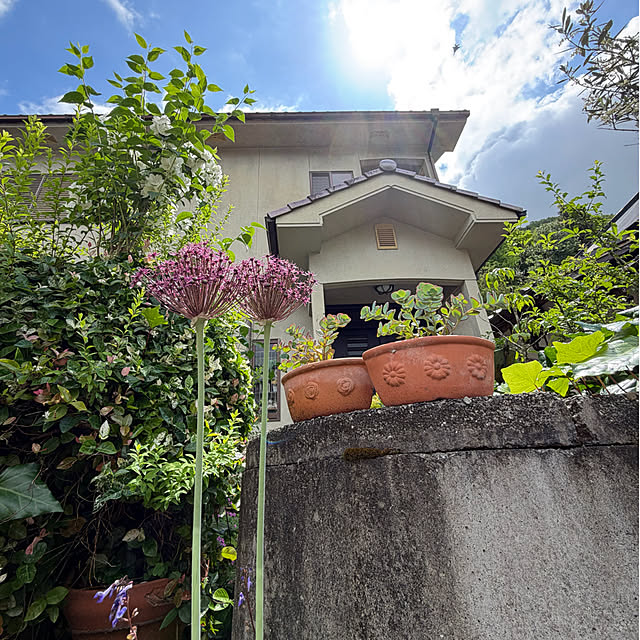 cotaさんの部屋