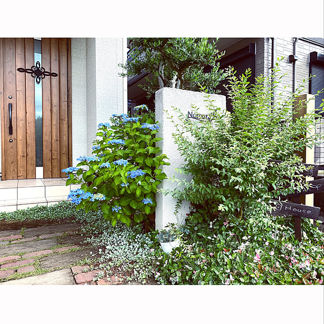 takeboo3さんの実例写真