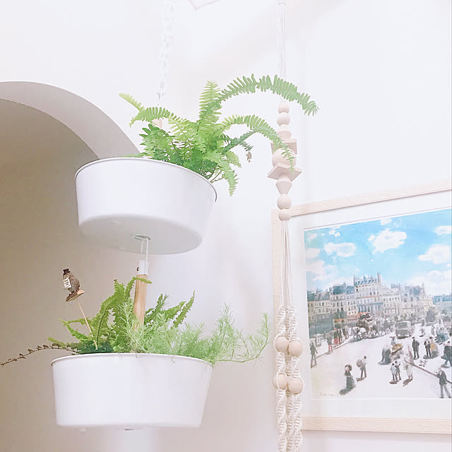 mikarunrunさんの実例写真