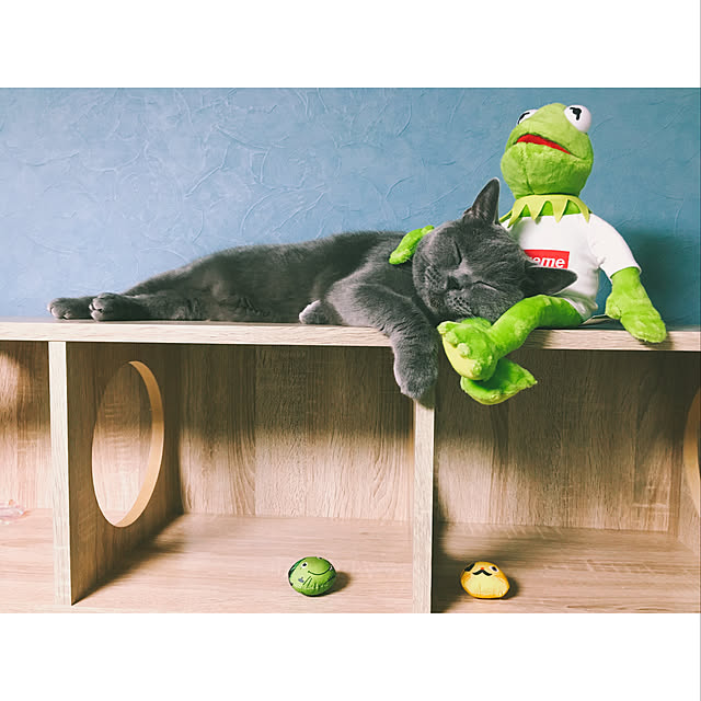 BTGさんの実例写真