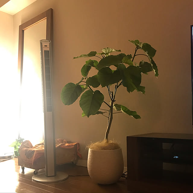 rumicharoさんの実例写真