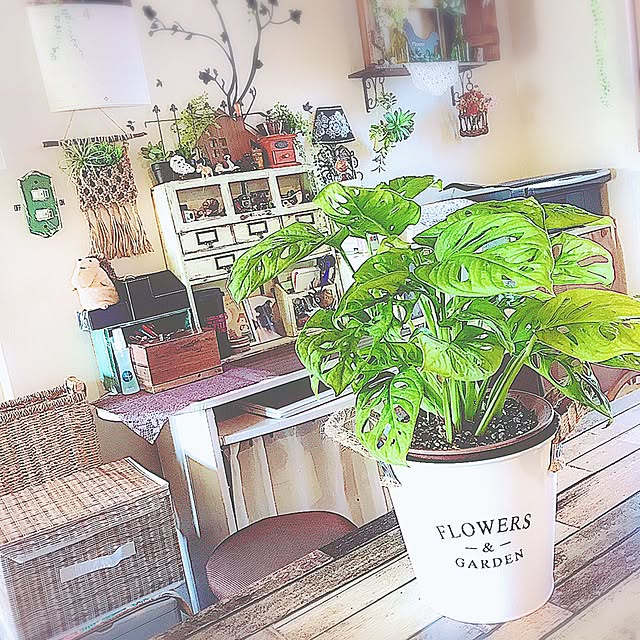 xigyanさんの実例写真