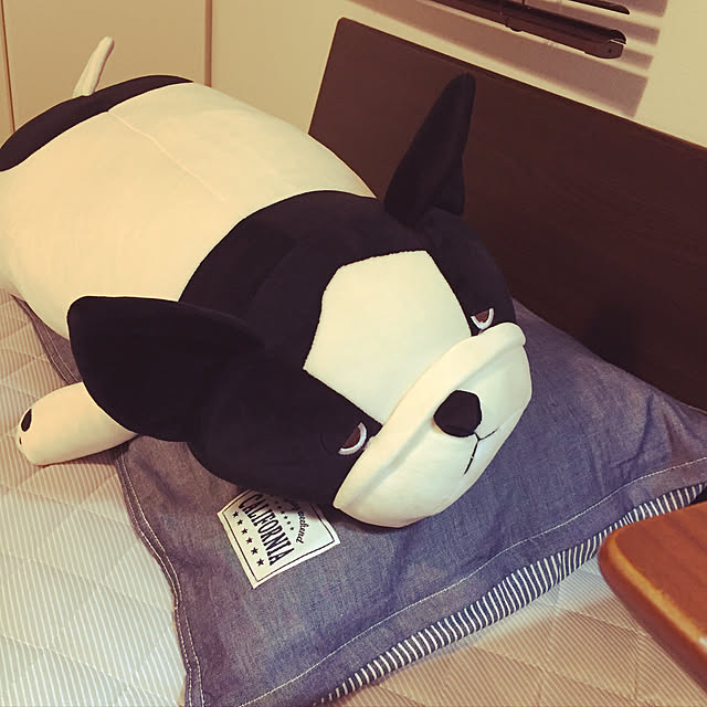 nicochanさんの実例写真