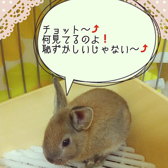yu-ya1124さんの実例写真