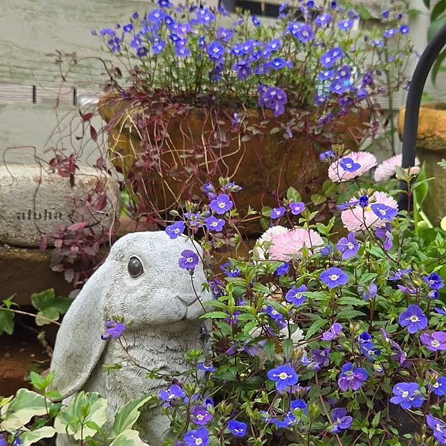 min_nimさんの実例写真