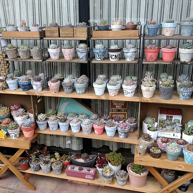 j.tさんの実例写真