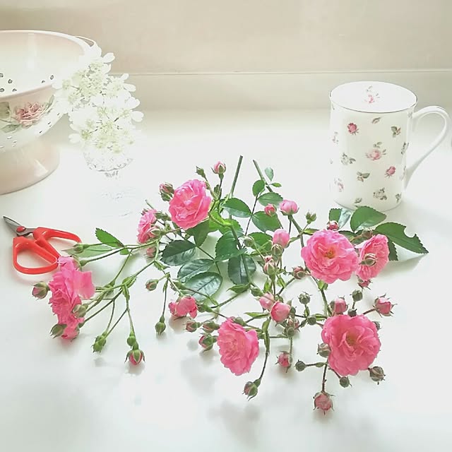 s.mamaさんの実例写真