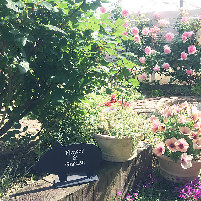 yumi369さんの実例写真