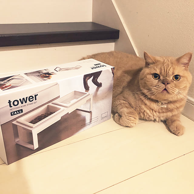cocoさんの実例写真