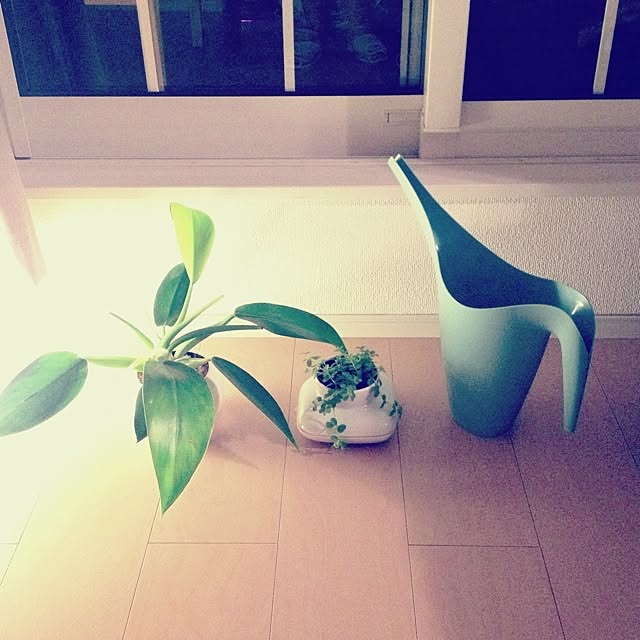 kaffe-hyggeさんの実例写真