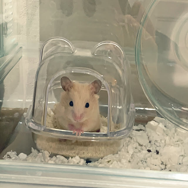 miniさんの実例写真