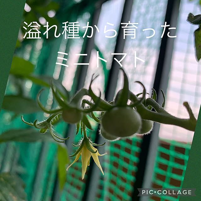 Aqettyさんの部屋