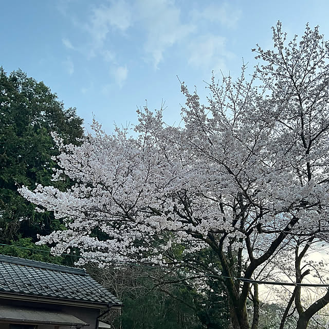 sakakenさんの実例写真
