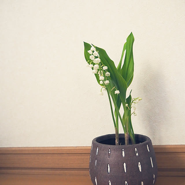 nametakeさんの実例写真