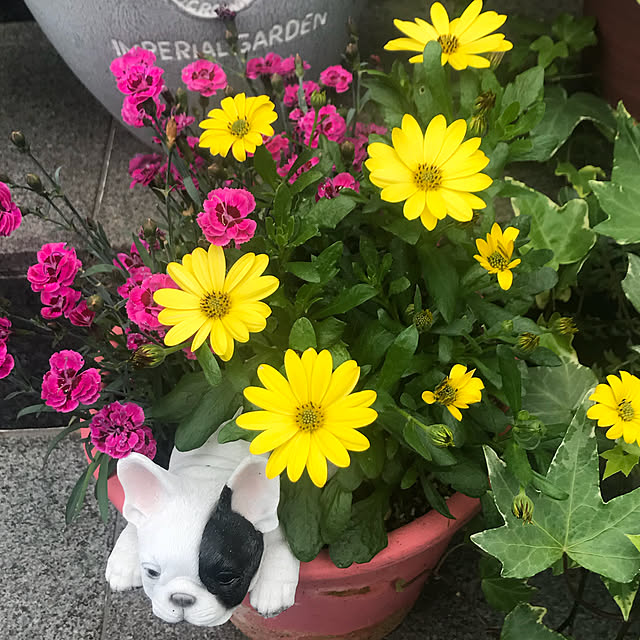 emikoさんの実例写真