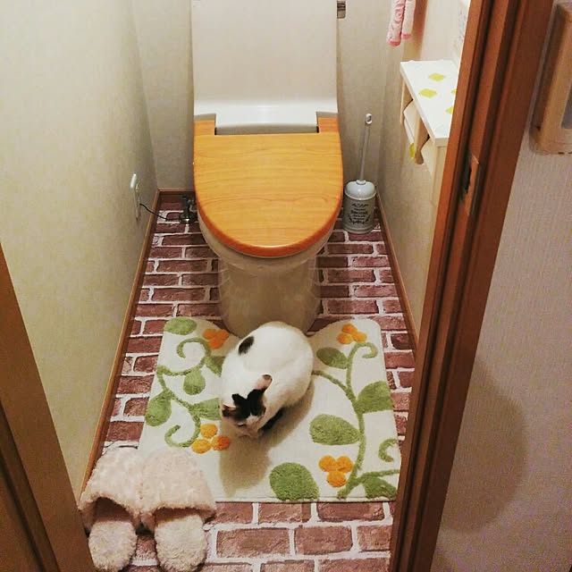 himicatsさんの実例写真