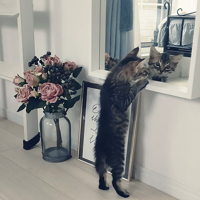 nyanpeiさんの実例写真