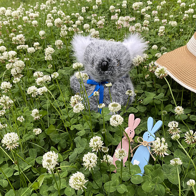 moriさんの実例写真