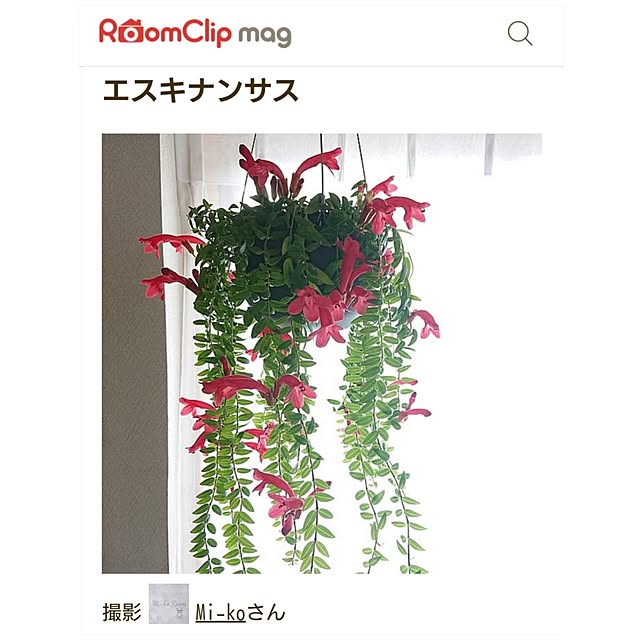 Mi-koさんの実例写真