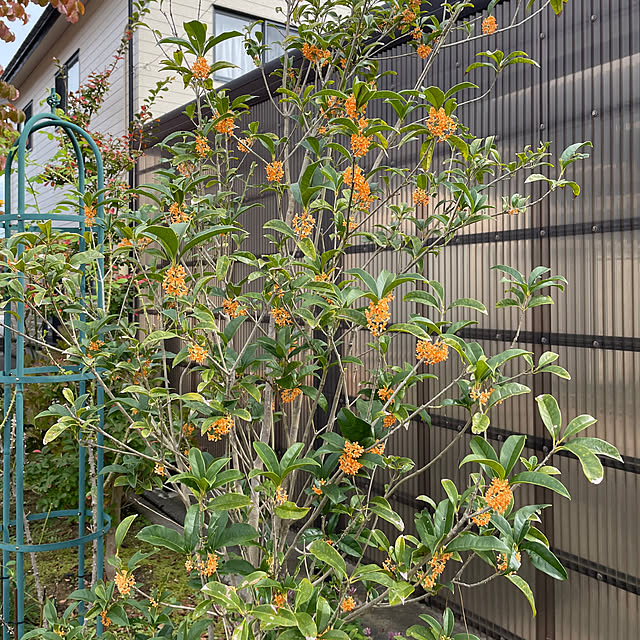 kakoさんの部屋