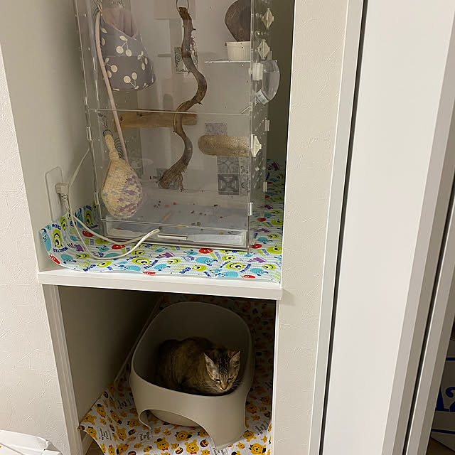 satopiさんの部屋