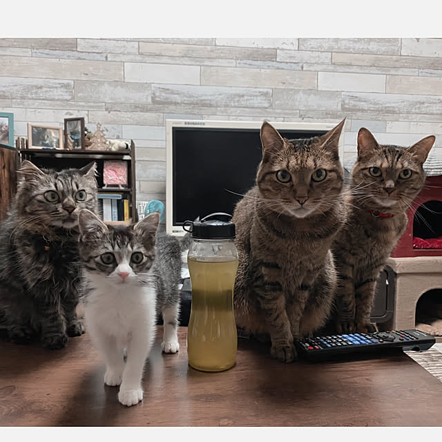 sumoanzuさんの実例写真