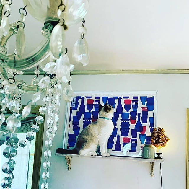 secco_caoさんの実例写真