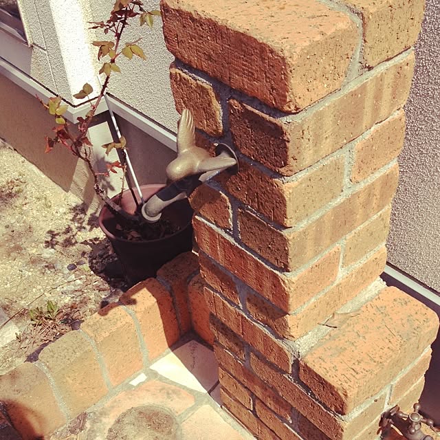 biberuさんの実例写真