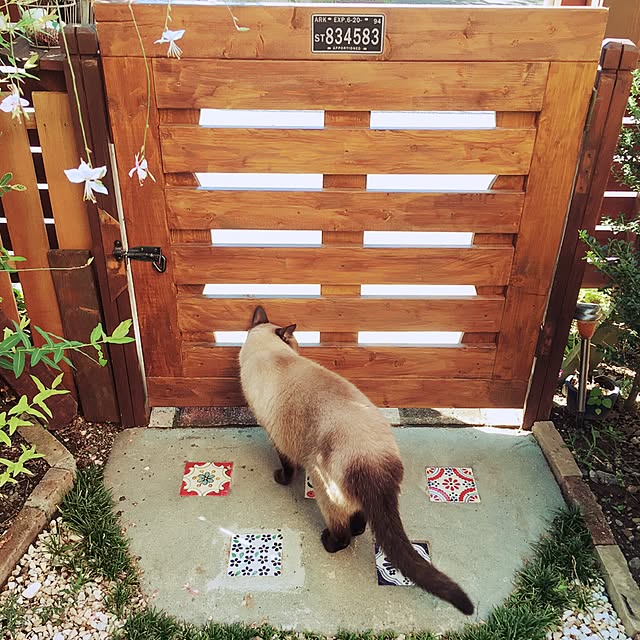 mintcatさんの実例写真