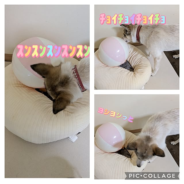asaさんの部屋