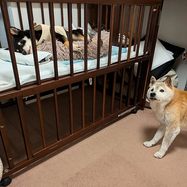 ponhanaさんの部屋