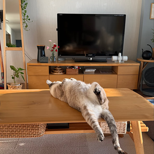 amさんの実例写真