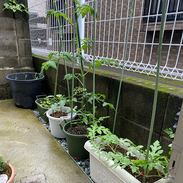 Erenaさんの実例写真