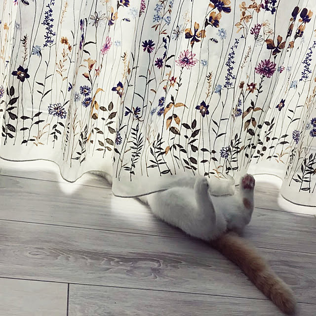 kikiさんの実例写真